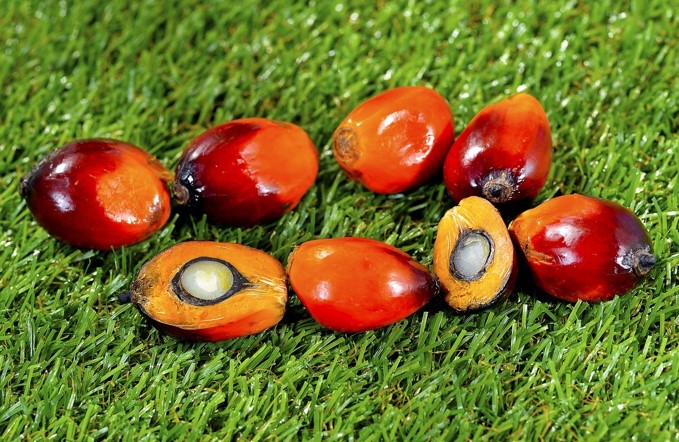 How Does The World Benefit From Sustainable Palm Oil? 