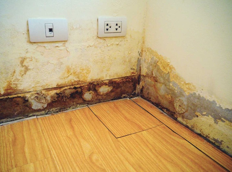 Facing Water Damage